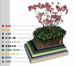 种植屋面系统